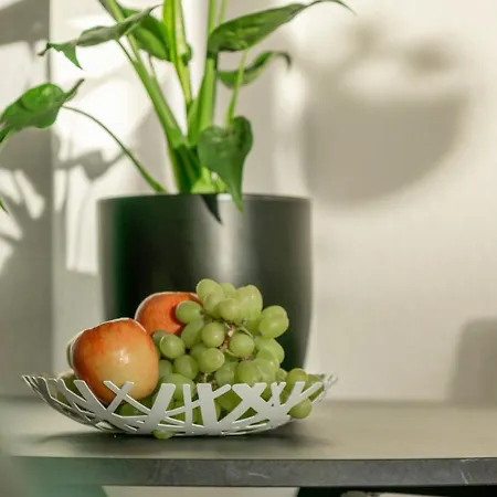 Apartment Special Picco Picasso Basel, Bahnhof Grossbasel 10-star Basel