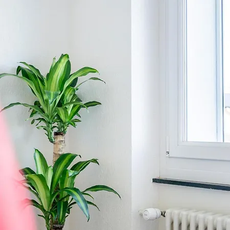 Apartment Special Picco Picasso Basel, Bahnhof Grossbasel 10-star Basel